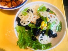 -素虎小呆鸟(西二旗店)