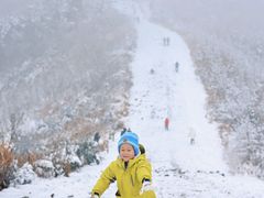 -四明山国家森林公园
