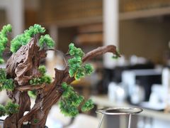 -宁海安岚·南溪阁全日餐厅