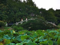 -太子山公园(园东路)