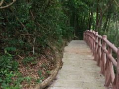 -广州市流溪河国家森林公园