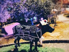 -锦江乐园舞狸花花游园会(夜场专享)