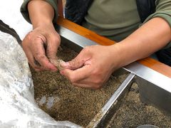 -叶氏麻糍(鼓浪屿店)