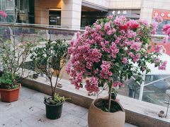 -端艾堂·SPA·艾灸(鸳鸯006店)
