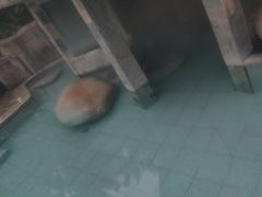 -碧水湾温泉