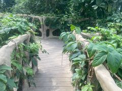 -南山植物园