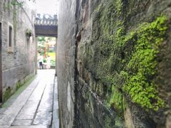 -小洲村