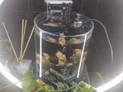 -C&R西班牙餐厅