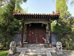 -大槐树寻根祭祖园