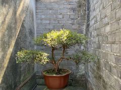 -天一阁博物院
