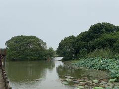 -梁鸿国家湿地公园