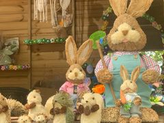 -上海共青森林公园