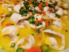藤椒水煮鱼-成都娃娃花园餐厅 (南艺旗舰店)