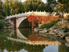 -大兴滨河森林公园