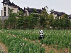 -清远熹乐谷温泉度假酒店