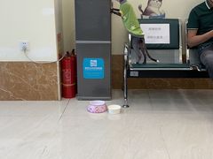 -美联众合动物医院·内科·皮肤科·外科(古城分院)