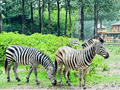 -大连森林动物园