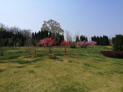 -棒棰岛宾馆景区