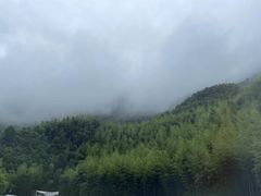 -将军关探险漂流