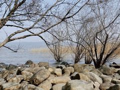 -上海吴淞炮台湾国家湿地公园