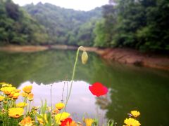 -龙川湾千岛湖国际垂钓中心