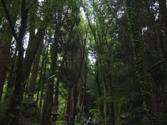-上色见熊野座神社