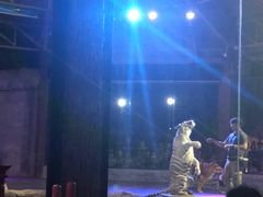 -清迈夜间动物园