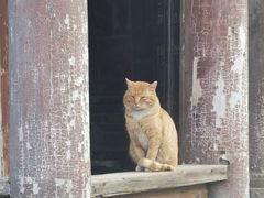 -大学习巷清真寺