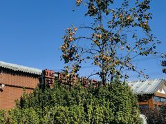 -普兰达德国餐厅·德式脆皮烤猪肘·自酿啤酒(观唐店)