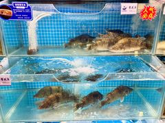 -胖姐渔村(中源大道店)
