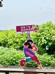 -太湖雪蚕桑文化园