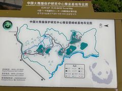 -中国大熊猫保护研究中心雅安碧峰峡基地