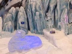 -长沙湘江冰雪世界