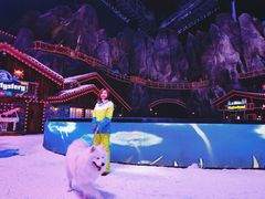 -世界之窗阿尔卑斯冰雪世界