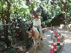 -水濂山森林公园