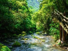 -光雾山旅游景区