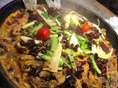 -老板恋上鱼(恒隆广场店)