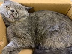 -平行世界·猫咖(首经贸店)