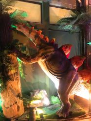 -恐龙探索乐园(磁器口店)