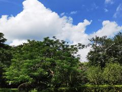 -风云岭森林公园