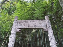 -杭州黄龙洞