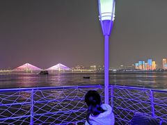 -武汉两江游览·夜游长江(汉口粤汉码头)