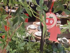 -滇铺子·云南特色菜·第九届野生菌美食节(曲靖万达店)
