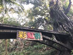 -青青世界
