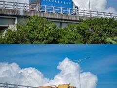 -宝安西湾红树林湿地公园