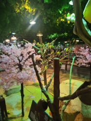 -酷嗒动物文化乐园(cutezoo西溪乐天城店)