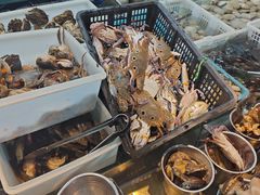 -争先鲜·蒸汽海鲜自助·鲜切牛肉
