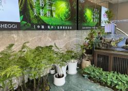 -阅年轻·AI家庭健康体质调理