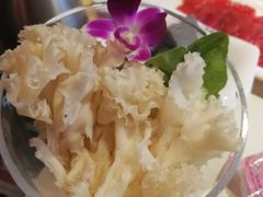 -川西坝子(老军营店)