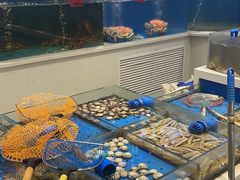 -北塘海鲜·天津菜(大光明桥旗舰店)